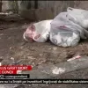 Cadavrul unei fetite de cateva luni a fost gasit intr-o punga, la groapa ...