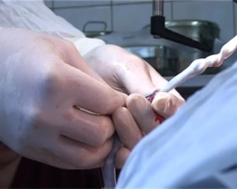 A.R.B.A.C.S., la aniversarea unui an de la infiintare