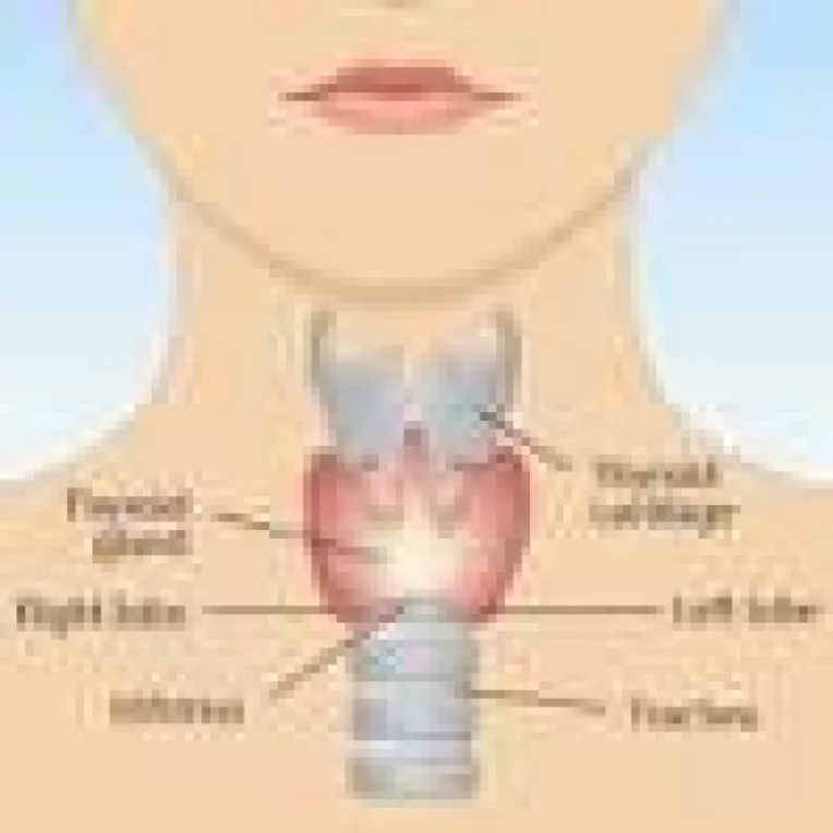 Alimentatia defectuoasa sau saraca in iod duce la dereglari ale glandei tiroide