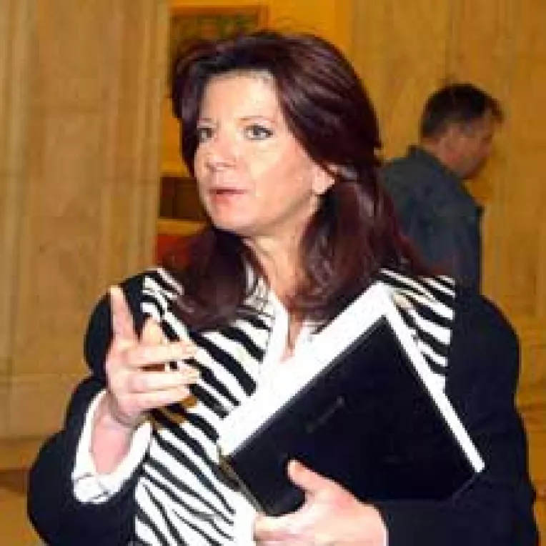 Deputatii nu-si pot spala nici cu sampon onoarea murdarita