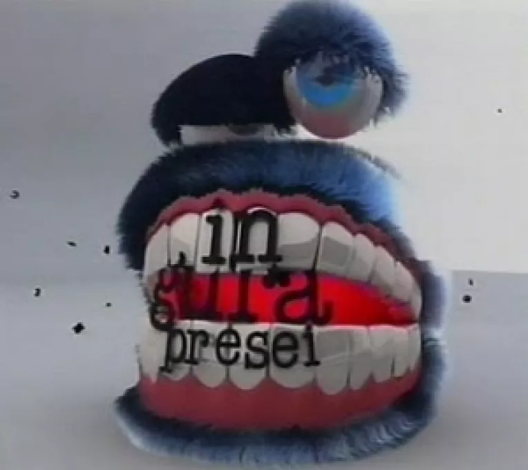 Parlamentul European a declarat admisibile petitiile jurnalistilor romani impotriva introducerii in Strategia Nationala de Aparare a presei ca vulnerabilitate a statului