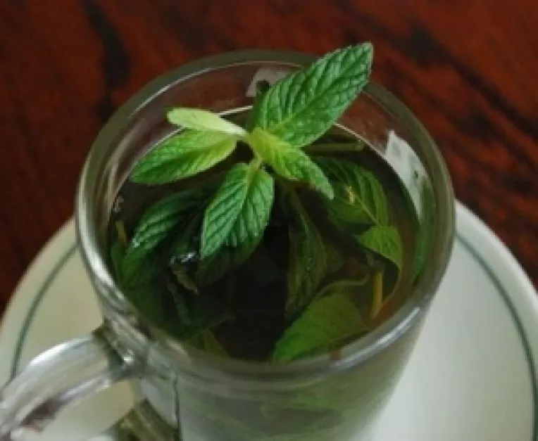 Sfaturi dupa o masa copioasa de Craciun sau de Revelion