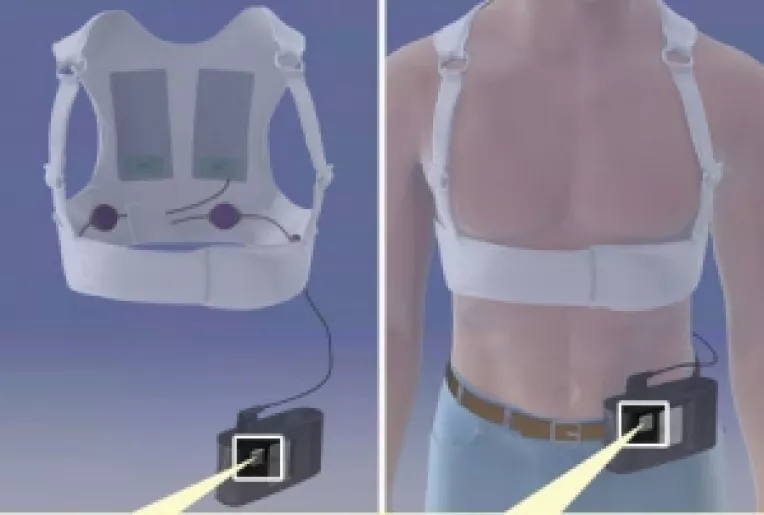 Vesta care supravegheaza bataile inimii